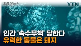 완전히 새로운 바이러스 나오나...새 전염병 대유행 가능성 [지금이뉴스]
