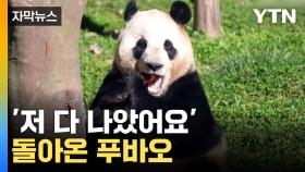 [자막뉴스] 