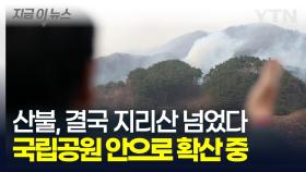 [속보] 산청 산불, 결국 지리산 넘었다...국립공원 안으로 확산 중