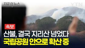 [속보] 산청·하동 산불, 결국 지리산 넘었다...국립공원 안으로 확산 중