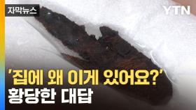 [자막뉴스] 아실 만한 분이...40년에 걸친 대담한 범행