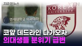 고려대는 무려 200명...'제적 초읽기' 다가오자 급해지는 의대생들 [지금이뉴스]