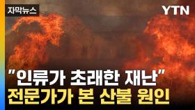 [자막뉴스] 