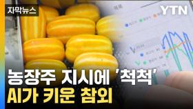 [자막뉴스] 참외 수확도 AI 시대...농가 소득에도 기대감'