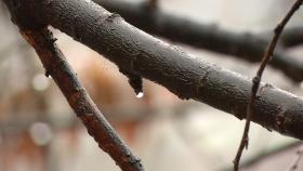 [날씨] 역대 최악 산불에 황사비 '찔끔'...경북 5mm 미만