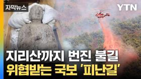 [자막뉴스] 동물도 국보도 피난길... 화마에 휩싸인 지리산
