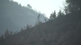 의성 산불 진화 속도...영덕은 '완진'