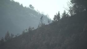 비 뒤 기온 '뚝' 산불 진화에 큰 힘...앞으로 관건은 '바람'