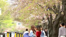 [날씨] 낮 동안 곳곳 초여름 날씨, 스모그 유의...주말 전국 비