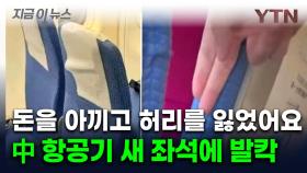 '의자가 왜 이래'...中 항공기 '초슬림 좌석 두고 