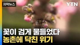 [자막뉴스] 