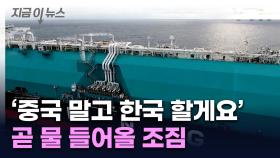 그동안 중국이 장악했는데...한국 '뜻밖의 이득' [지금이뉴스]