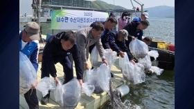 [경기] 가평군, 북한강에 뱀장어 치어 1만7,500마리 방류