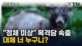 온몸에 털 빠진 '괴생명체' 포착...산책로에 나타난 녀석의 정체 [지금이뉴스]