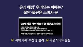 유심 피해 노린 피싱까지...유출 시 어떤 피해? [앵커리포트]