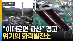 [자막뉴스] 