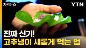 [자막뉴스] 먹는 부분이 완전히 다르다! 색다른 고추냉이