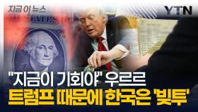 '마통'까지 뚫은 야수의 심장? 트럼프 한마디에 '빚투' 급증한 대한민국 [굿모닝경제]