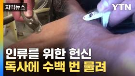[자막뉴스] 혼수상태도 감내...독사에 팔 내어준 이유?