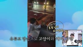 [영상] 
