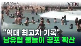 닿기만 해도 '장기 곳곳 손상'... 남유럽 물놀이 공포 확산 [지금이뉴스]