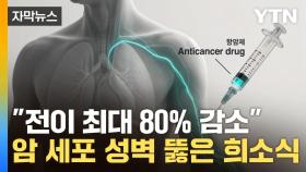[자막뉴스] 항암제 역사를 뒤흔든 발견...'300조 원' 시장서 희소식