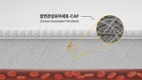 300조 원 규모 항암제 시장 경쟁 치열...가짜 내성이 화두