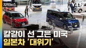 [자막뉴스] 