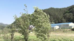 강원·경북 동해안 강풍 주의보...시설물 피해 주의