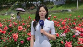 [날씨] 휴일, 맑고 완연한 봄 날씨...강한 자외선 유의