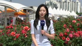 [날씨] 휴일, 완연한 봄 날씨...쾌청한 하늘 즐기는 시민들