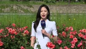 [날씨] 휴일, 맑고 봄볕 강해...내일은 중부 중심 비