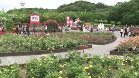 울산 장미축제...장미 향기 따라 시민 발길 '북적'