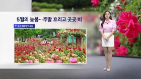 [이슈날씨] 5월의 늦봄…주말 흐리고 곳곳 비
