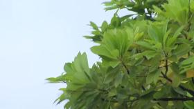 [날씨] '계절 제 자리로' 선선한 봄 날씨, 서울 낮 23℃...밤부터 산발적 비