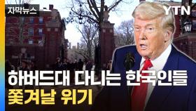 [자막뉴스] 