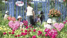 '초록빛 향연' 서울 국제정원박람회 개막...10월까지
