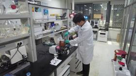 전력 없이 녹조 원인 '인' 제거하는 수처리 기술 개발