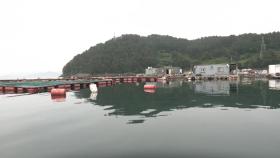 올해도 뜨거운 경남 앞바다...대비는 어떻게?