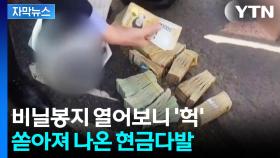[자막뉴스] 