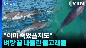 [자막뉴스] '폐어구 지옥' 고통받는 돌고래...해양 쓰레기의 '역습'