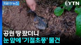 수상한 신고에 강남 공원 땅 파보니...줄줄이 걸렸다 [지금이뉴스]