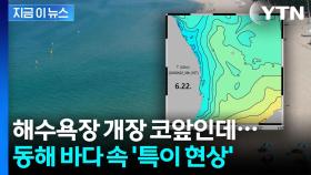 해수욕장 개장 코앞인데...동해 '이 현상'에 상인들 또 불안 [지금이뉴스]