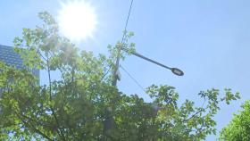 [날씨] 서·남해안 짙은 아침 안개...어제보다 더워, 서울 낮 31℃