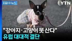 반려동물에 진심인 EU...'펫숍'에 초강수 [지금이뉴스]