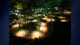 [서울] 서울시, 여름밤 무더위에 보라매공원 '쉼터' 운영
