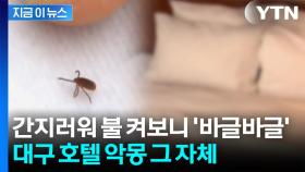 먼지인 줄 알았던 알갱이들...호텔방 불 켜보니 100마리가 '우글' [지금이뉴스]