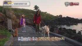 [컬처인사이드] 속 보이는 랭킹 - 반려동물에 푹 빠진 스타 TOP 5