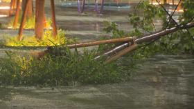 오늘 충청·전북 최고 180mm↑...호우·산사태 특보