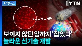 [자막뉴스] 